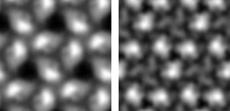 Bacteriorhodopsin AFM topographs