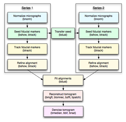 Tomo dual flow chart