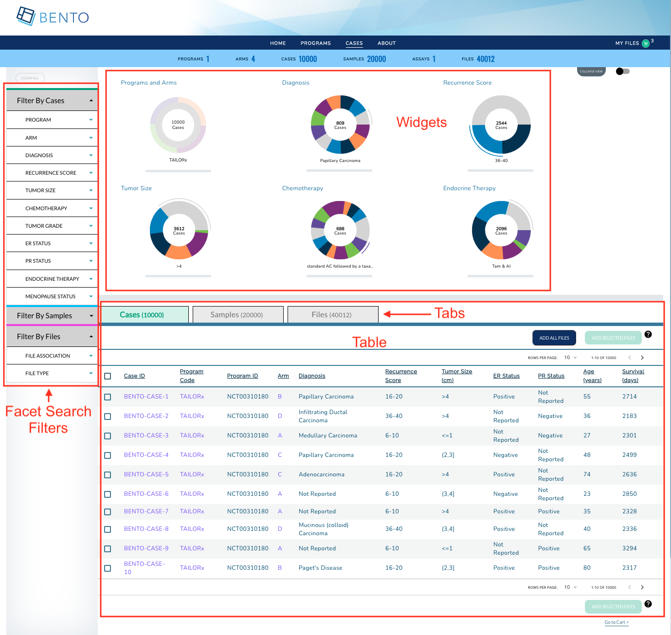 Dashboard Elements