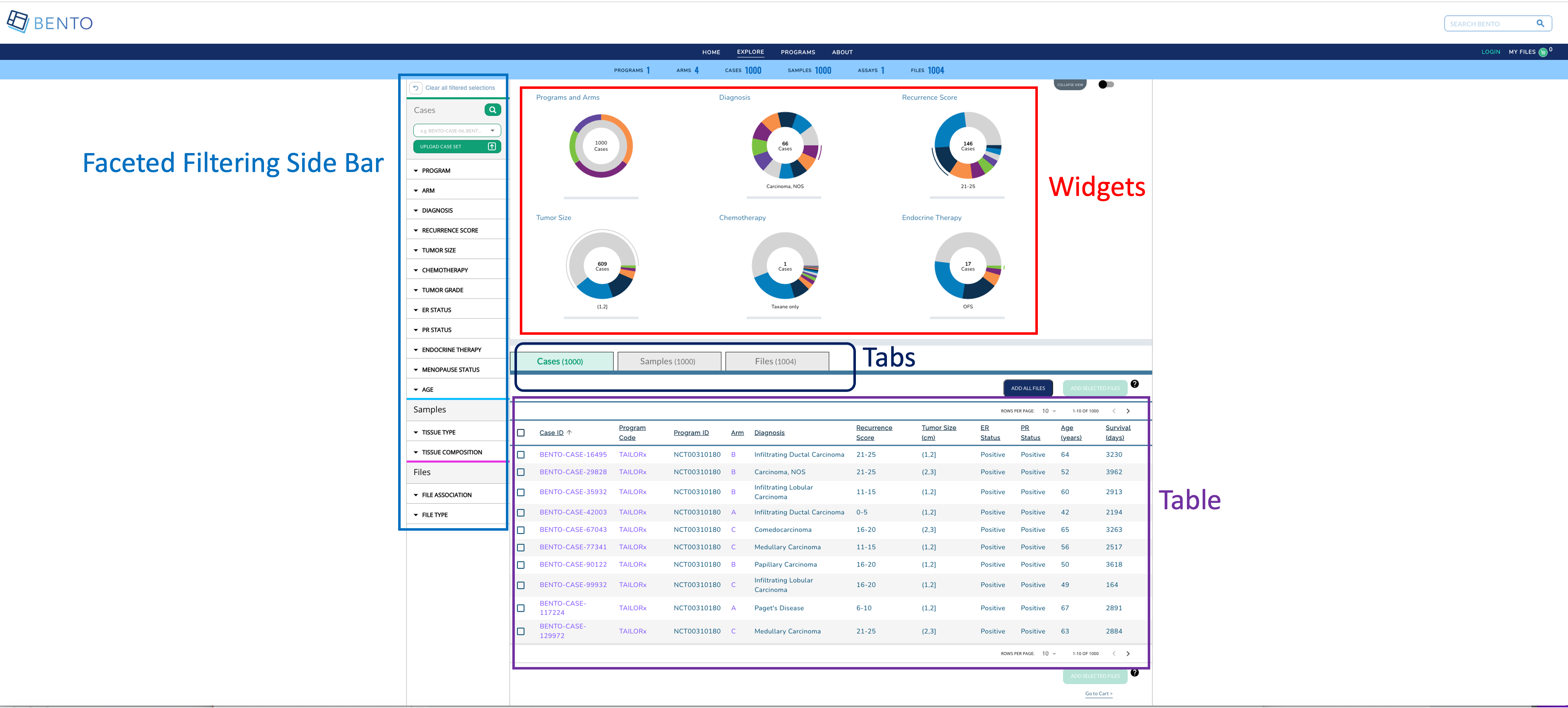 Explore Dashboard Elements