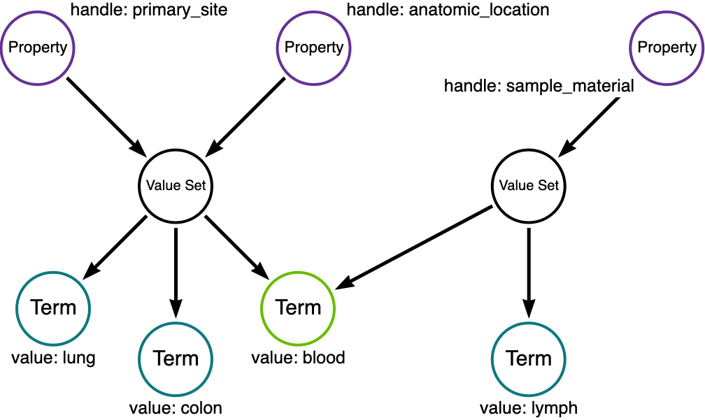 Term and Value Set reuse in an MDB