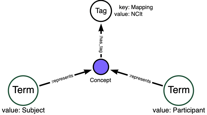 Synonym mappings represented in an MDB